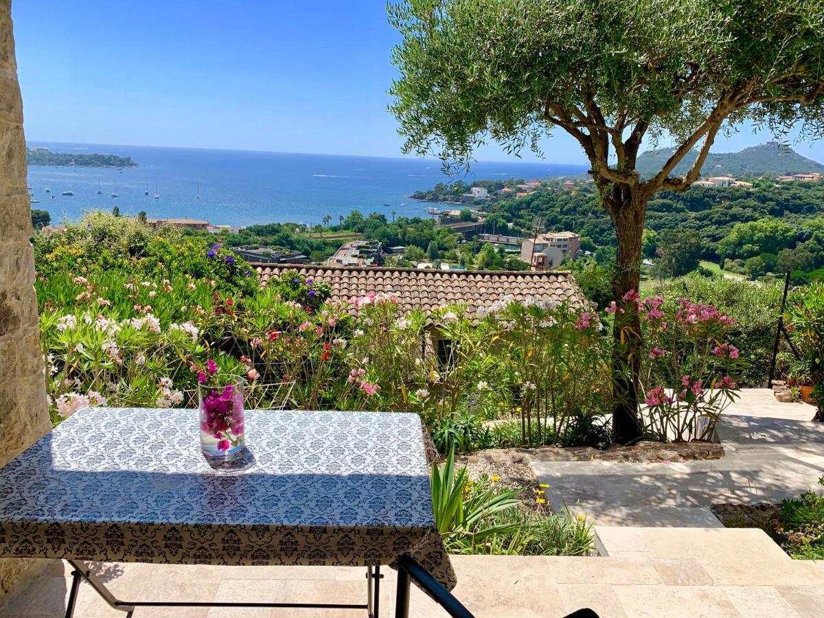Villa Grand Baie Saint-Raphaël Extérieur photo